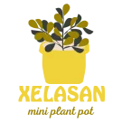 Xelasan 